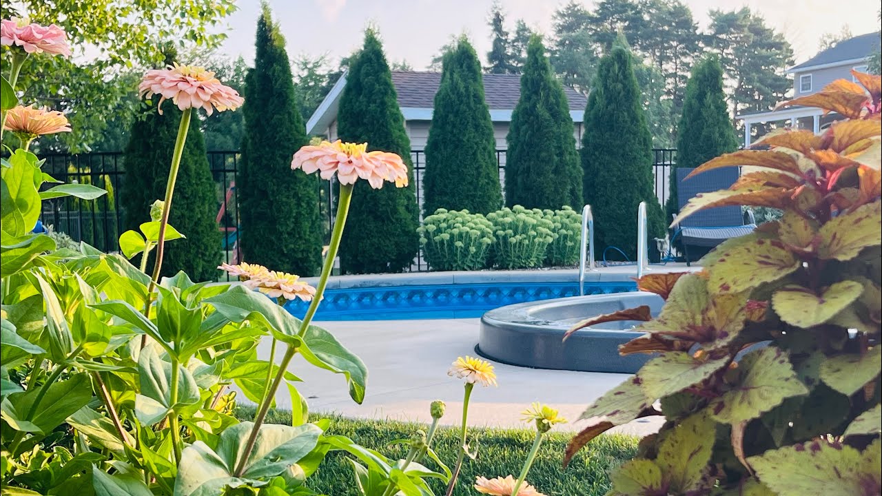 August GARDEN Tour!  + Saying Goodbye (Again) 🎓🌼