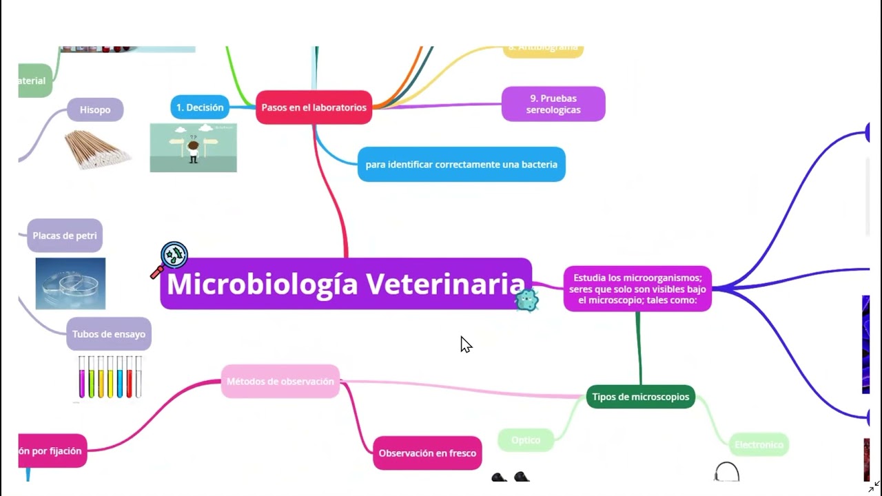 ¿Que es la microbiología veterinaria?
