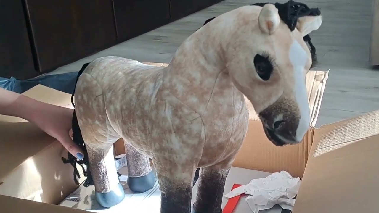 old video of me unboxing dream ✨️ 😍 😌 💖 💕 the mini lemieux pony