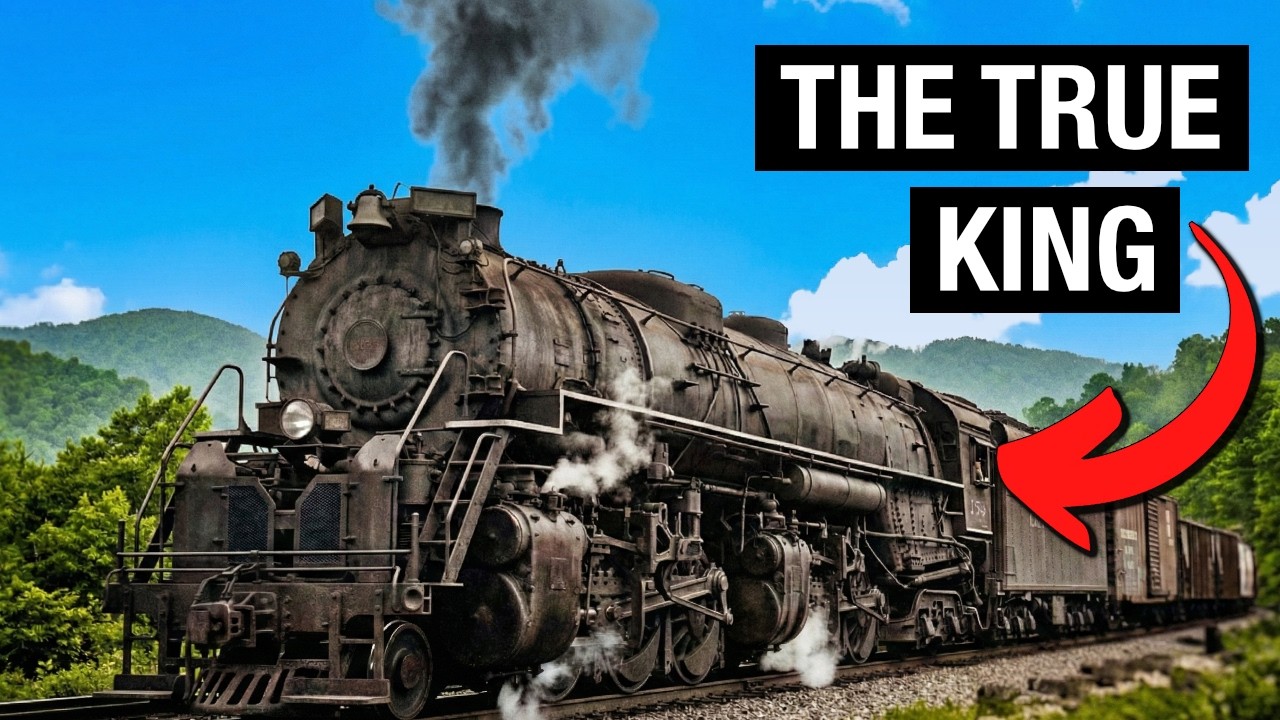 The 