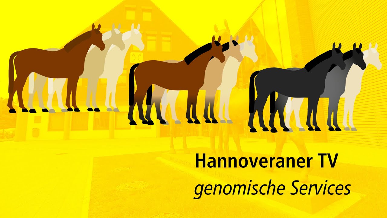 Hannoveraner TV - Genomische Services