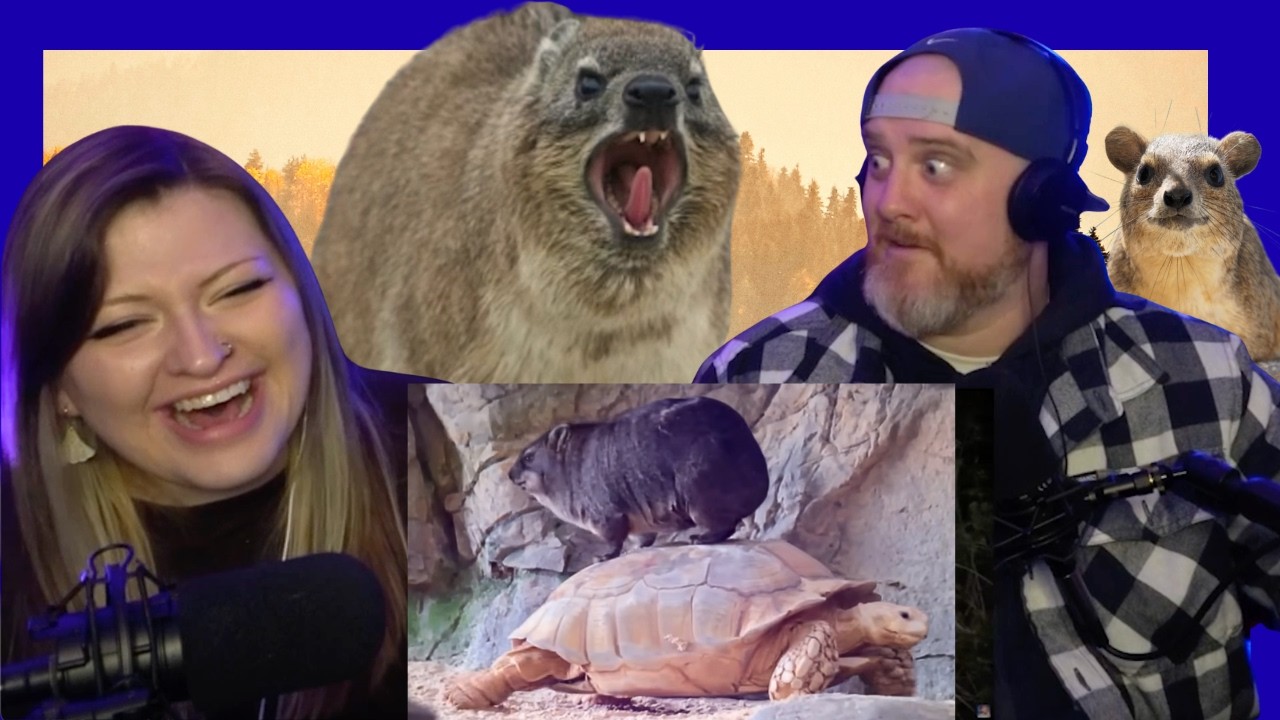 Самое неуважаемое животное 2026 года&hellip;?? 💀 @mndiaye_97 | Реакция Hatguy и @gnarlynikki