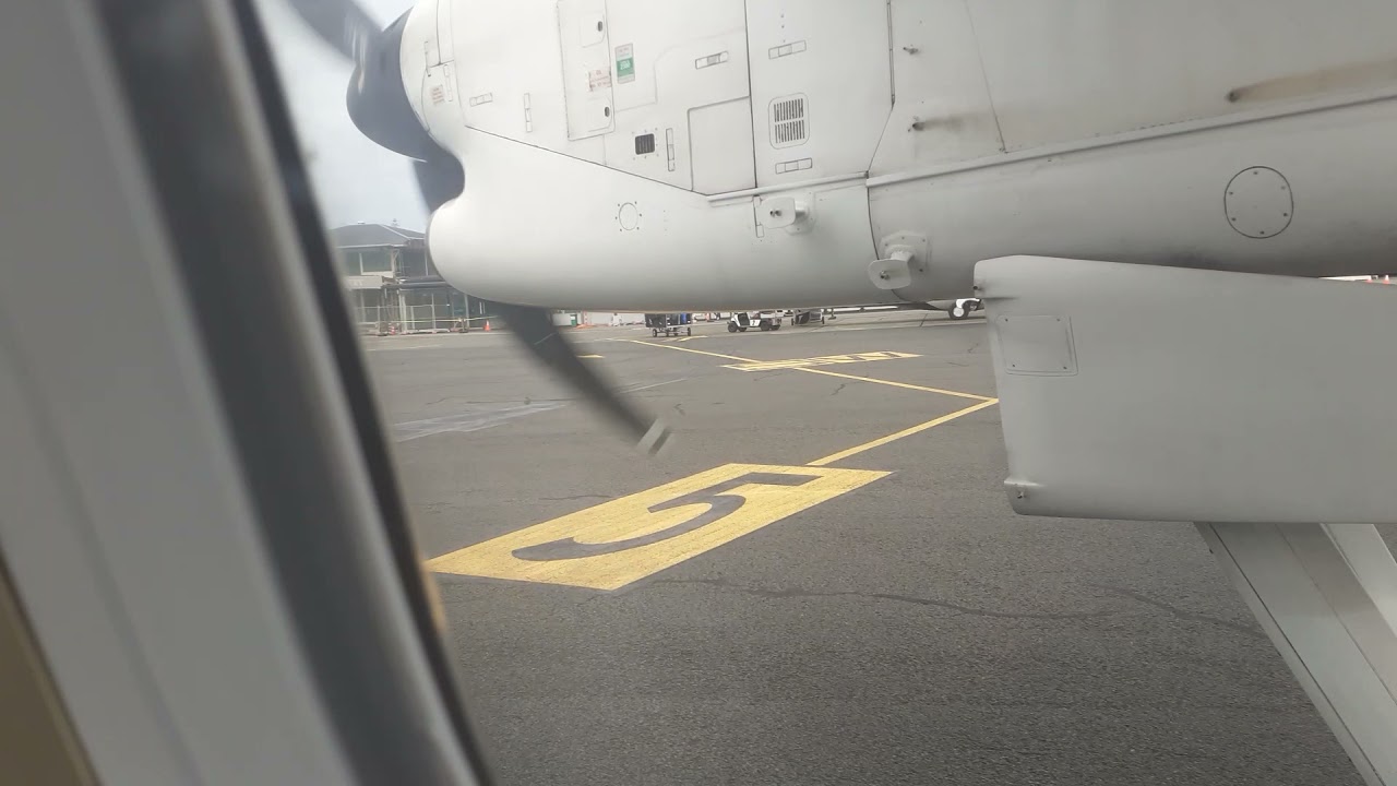 Air New Zealand | Dash 8 Q300 | Landing Napier Airport