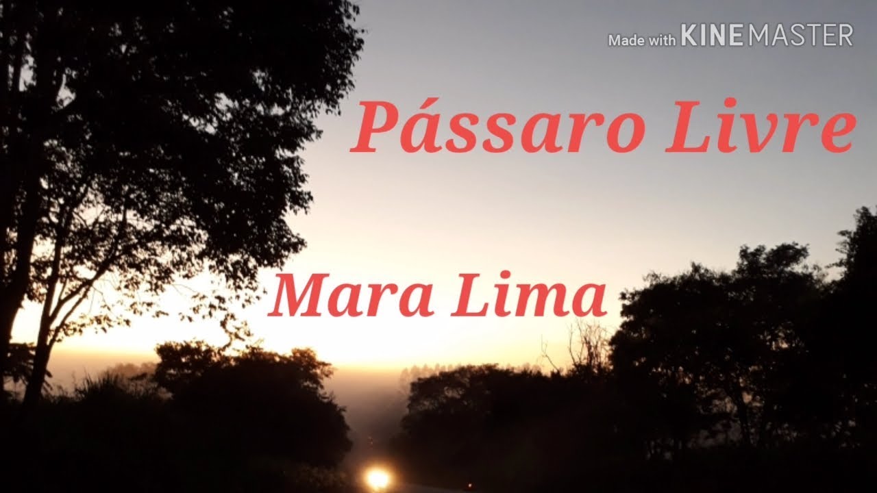 Pássaro livre - Mara Lima (Playback Legendado)