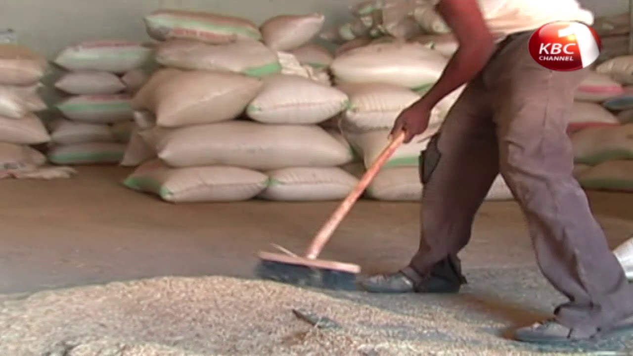 Farm Talk - Rice milling process at Mwea Rice Mills