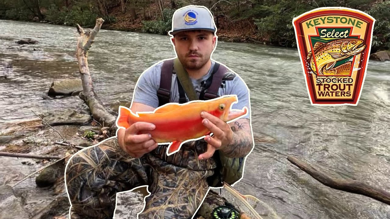 KEYSTONE SELECT PA TROUT FISHING! Я поймал паломино с большой крючкообразной челюстью!