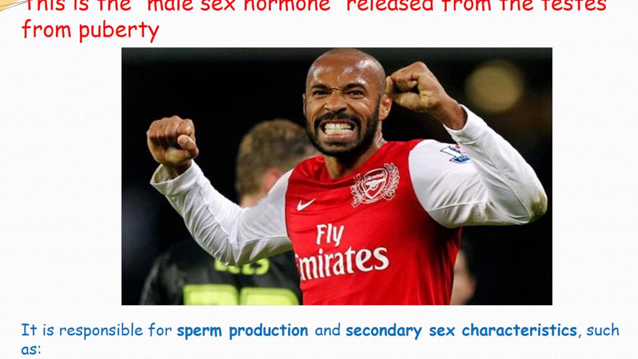 sexual reproduction in humans
