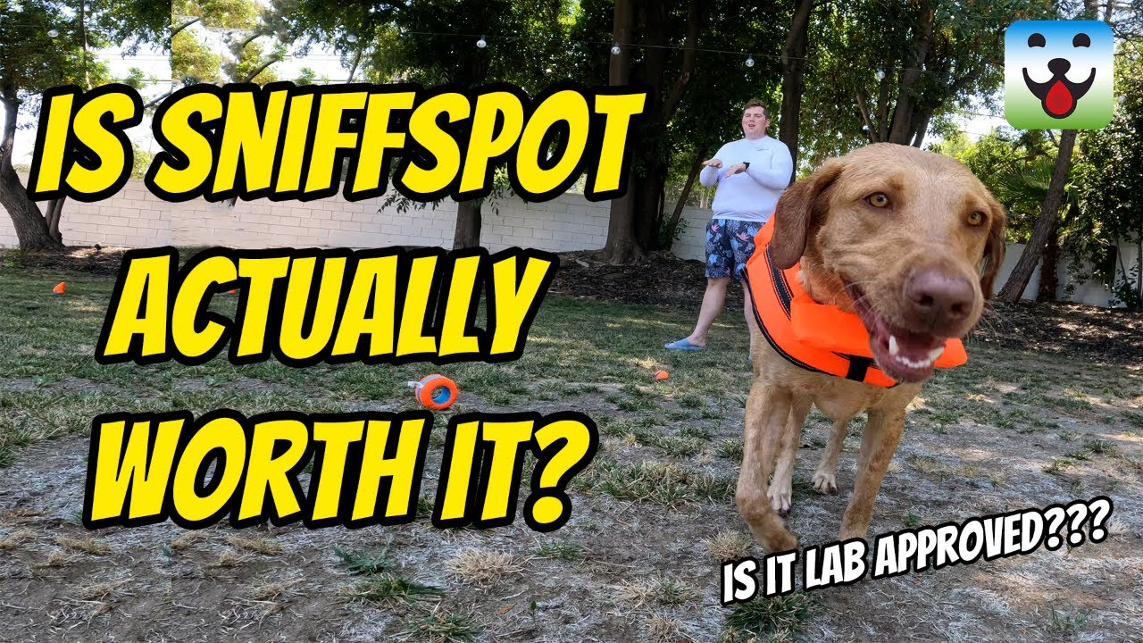 Is Sniffspot Actually Worth It?