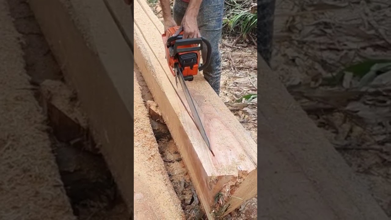 O melhor motosserra da husqvarna 281xp