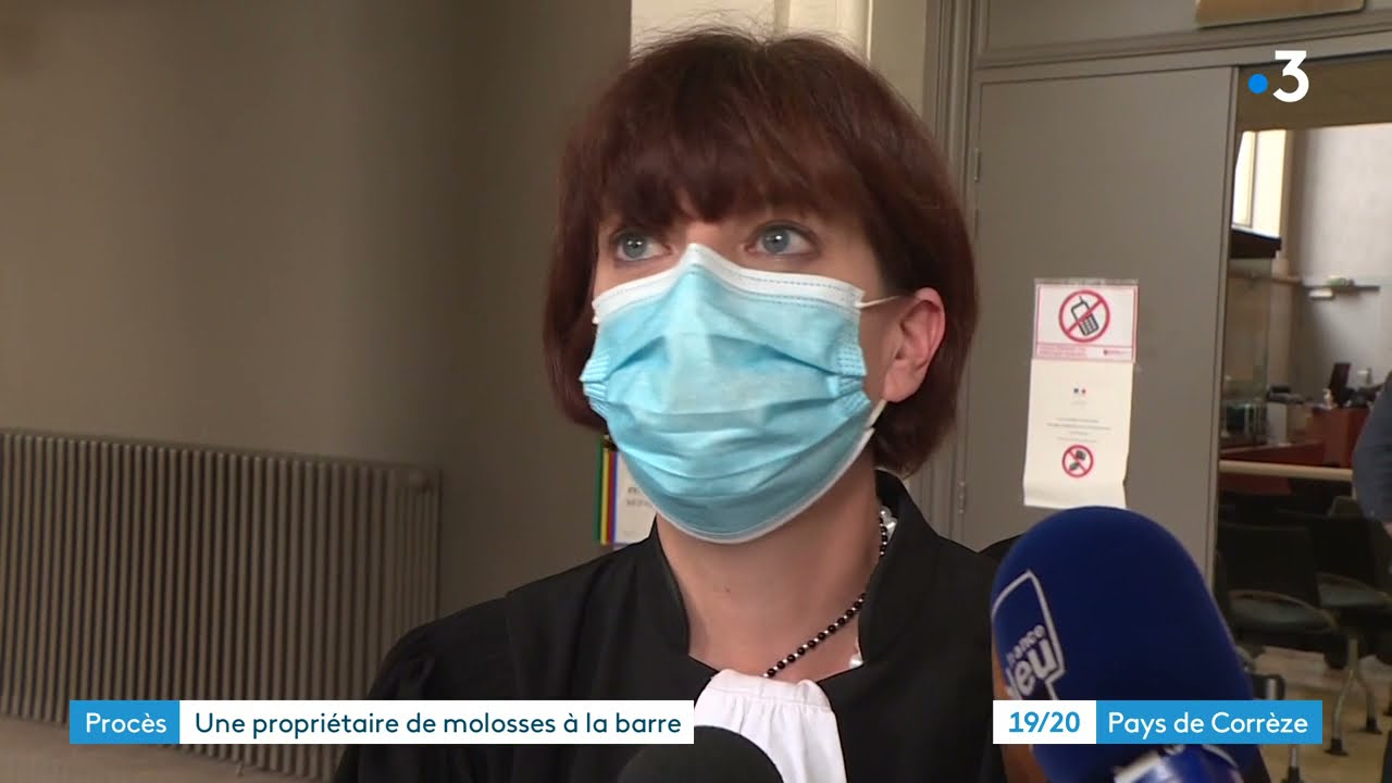 Corrèze : attaque des chiens de Lamazière-Basse, la propriétaire des animaux condamnée