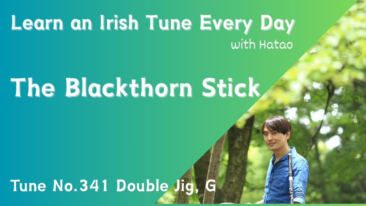341 The Blackthorn Stick (Double Jig, G)