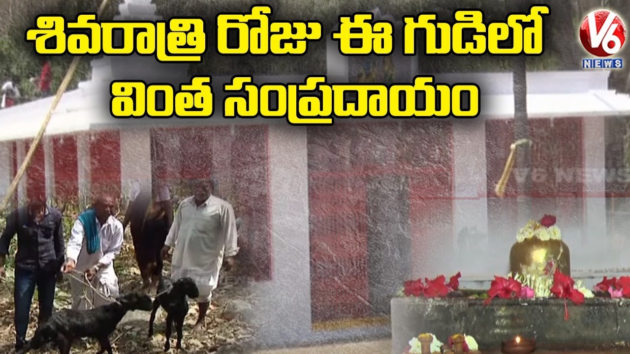 Special Story On Sirikonda Ramalingeswara Swamy Temple At Nizamabad | V6 News