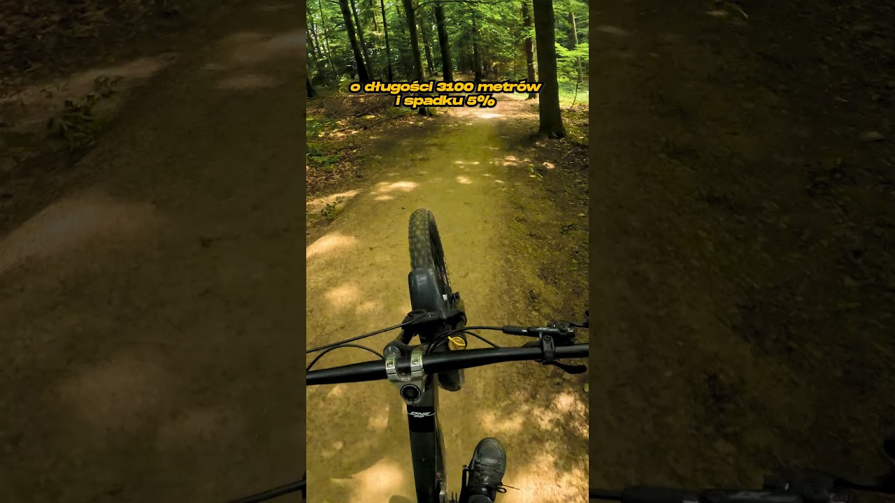 Najlepsze trasy dla początkujących rowerzyst&oacute;w MTB 🌲🚵&zwj;♂️ #mtb