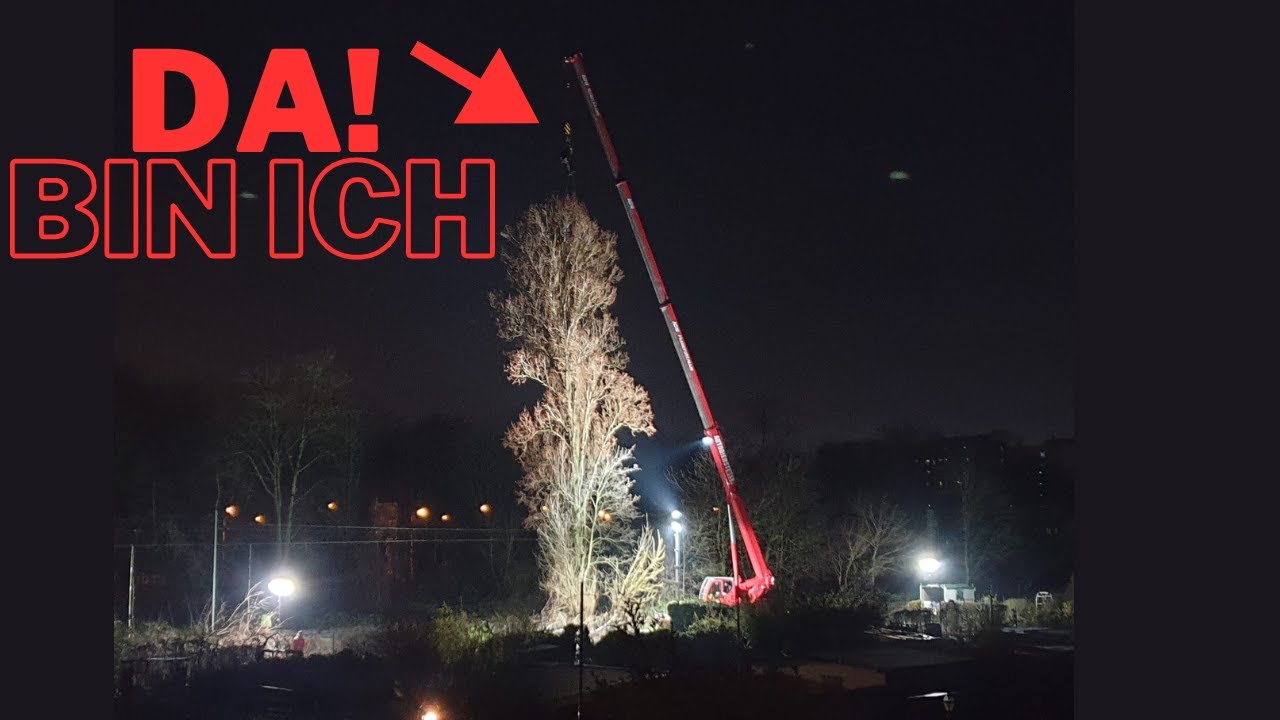 Baumfällung mitten in der Nacht und nur eine Stunde Zeit!!!