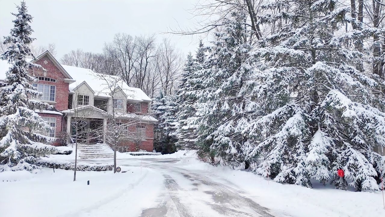 Snow Walk in Beautiful Countryside Canada - Cozy Homes in Winter Snowy Forest - Relaxing Piano Music