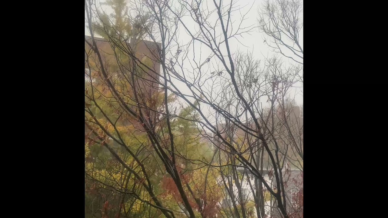 Hailstrom In New York | Storm Brings Wind, Heavy Rain, Hail | Insane hailstorm Hits New York