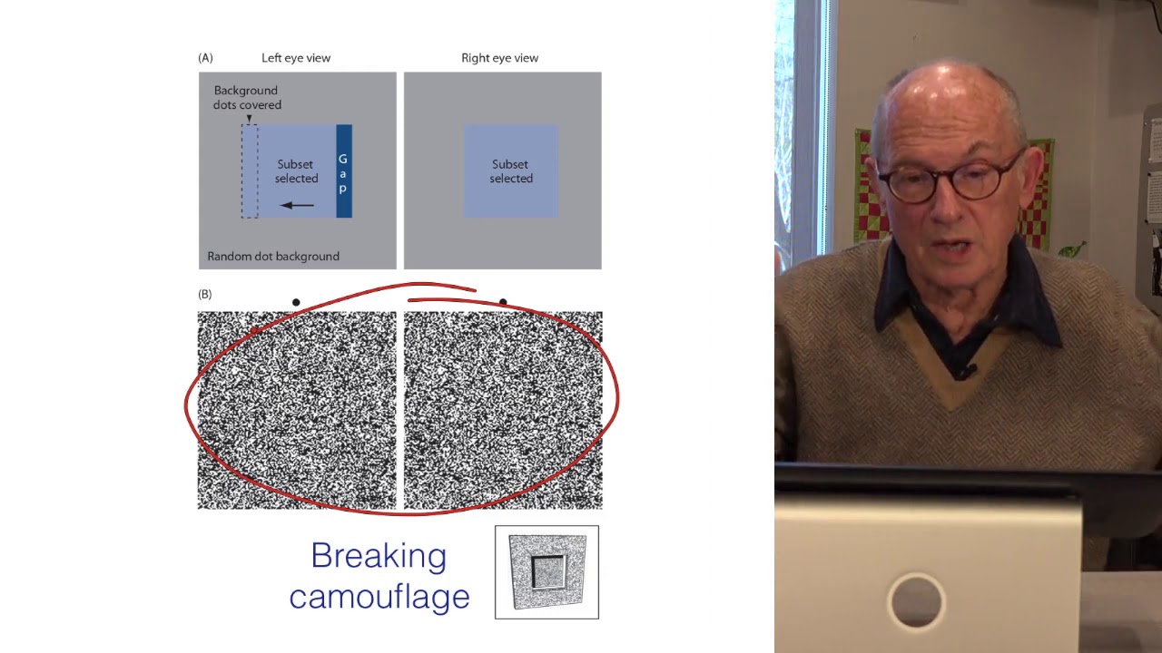 Random Dot Stereograms and the Correspondence Problem - Visual Perception and the Brain