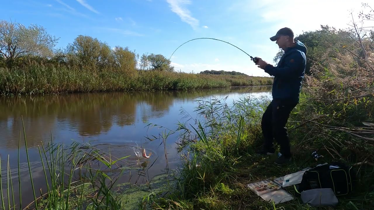 Pescuit la Biban pe rau ( Aabybro Rya River Denmark)