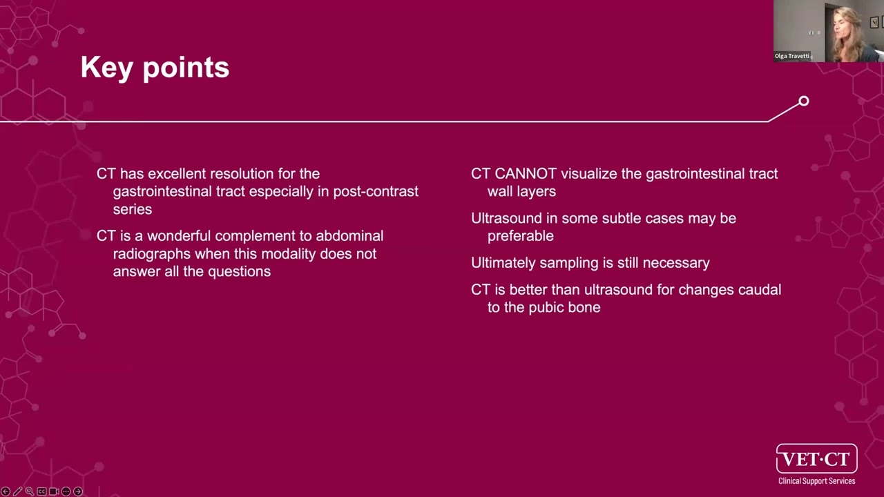 VET.CT Radiology Webinar - Case examples (Cases 10-12): When and why should you consider CT?