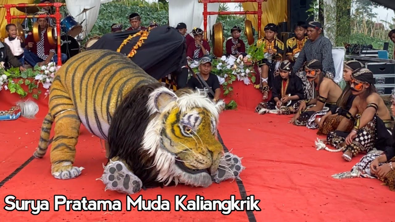 Warok Barong Surup Warok SuryaPratama Muda Munggangsari Live Silancur Highland  Kaliangkrik Magelang
