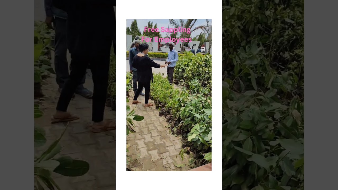 PLANT A TREE PLANT A FUTURE #manavrachnauniversity #gogreen #TeachersWisdom