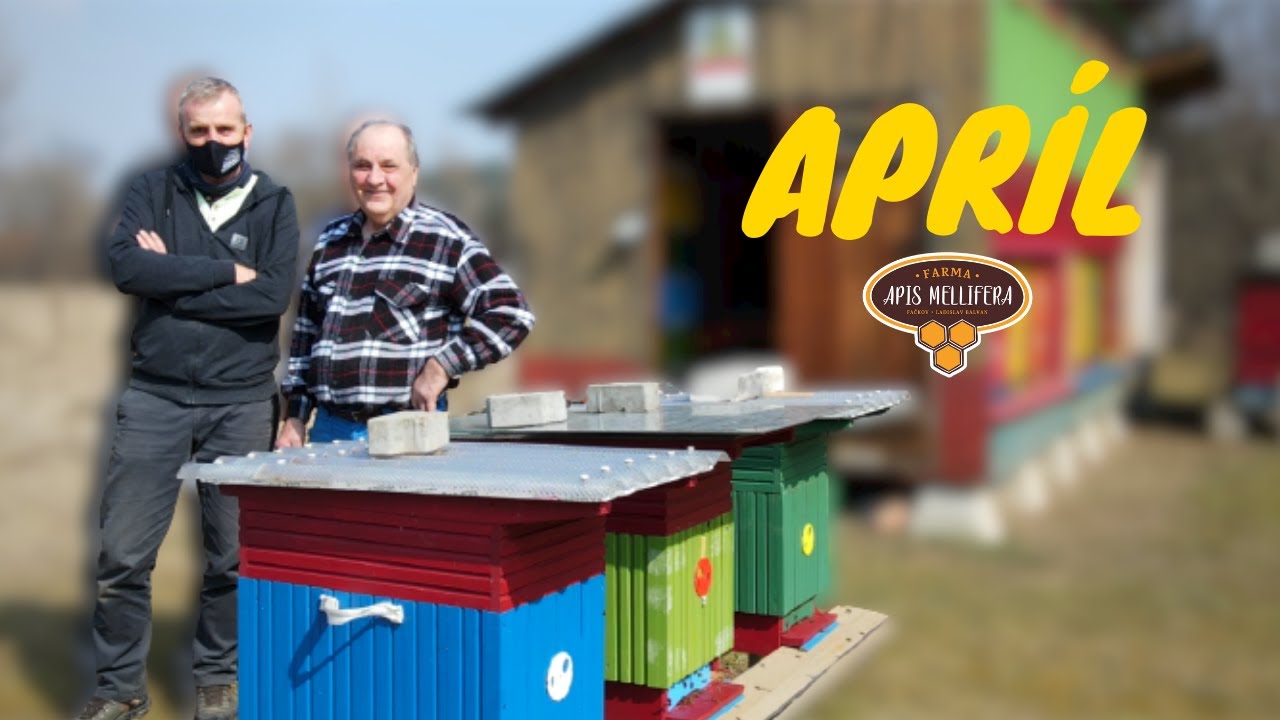Včelársky rok v Rajeckej doline - APRÍL