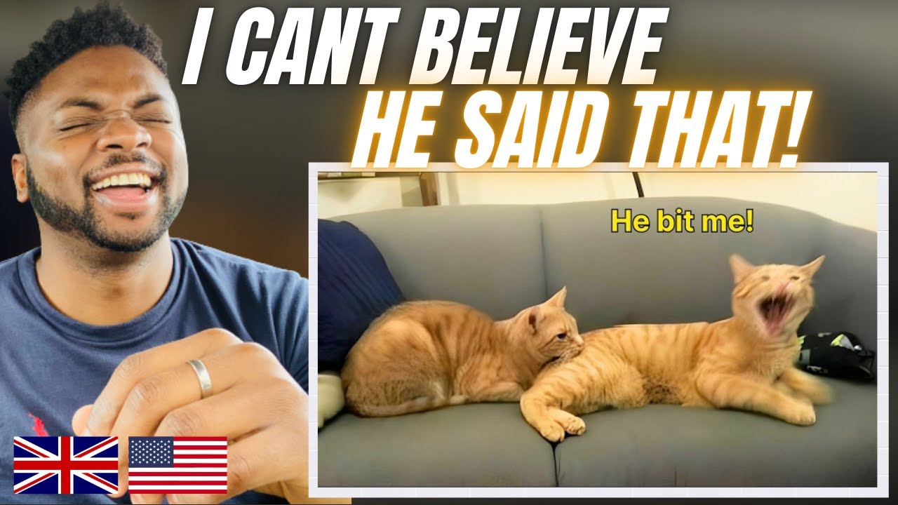 КОГДА КОШКИ ГОВОРЯТ ПО-АНГЛИЙСКИ! — Brit Reacts