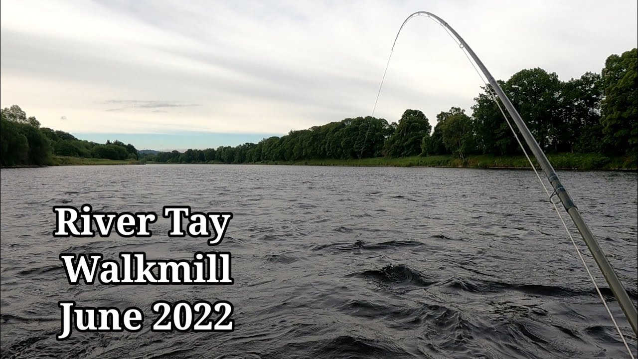 Salmon Fishing on the River Tay at Walkmill, the one that got away.