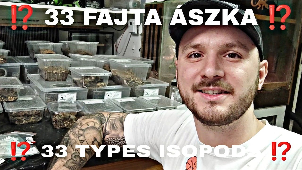Ászkakollekció 2022 | Isopod Collection 2022