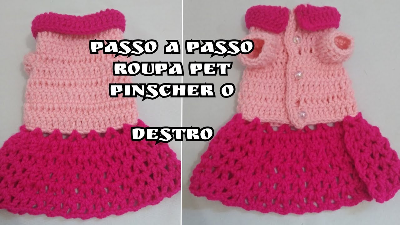 Roupa para pet de crochê 🦮 pinscher 0 🧶 destro