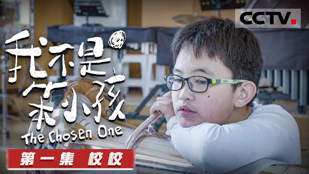 《我不是笨小孩》 第一集 智商超高的校校为何认字万般艰难？家人对于孩子的情况会做出怎么样的决定？【CCTV纪录】