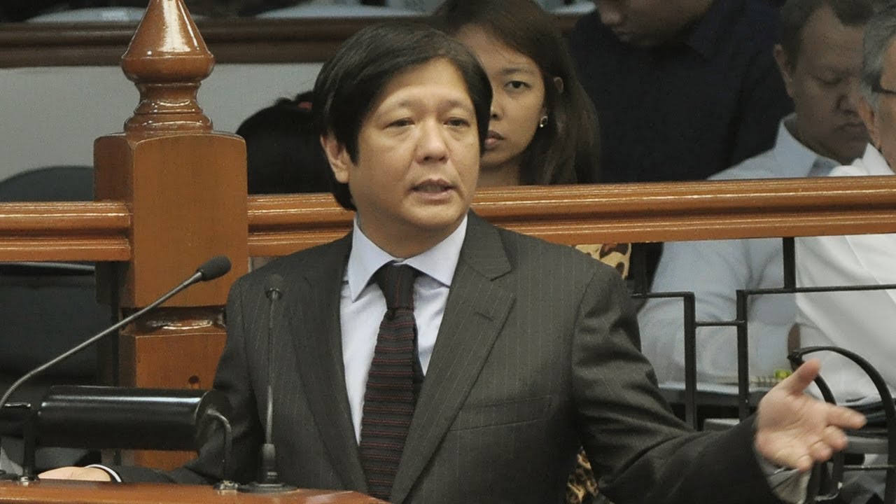 Sen. Bongbong Marcos - Interpellation on the Sin Tax Bill (19 November 2012)
