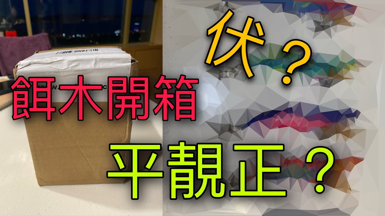開箱 Egi 餌木 | 新手必看 詳細對比 平與貴餌木之間的分別
