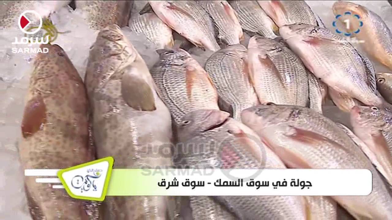 جولة تلفزيون الكويت في سوق السمك - سوق شرق