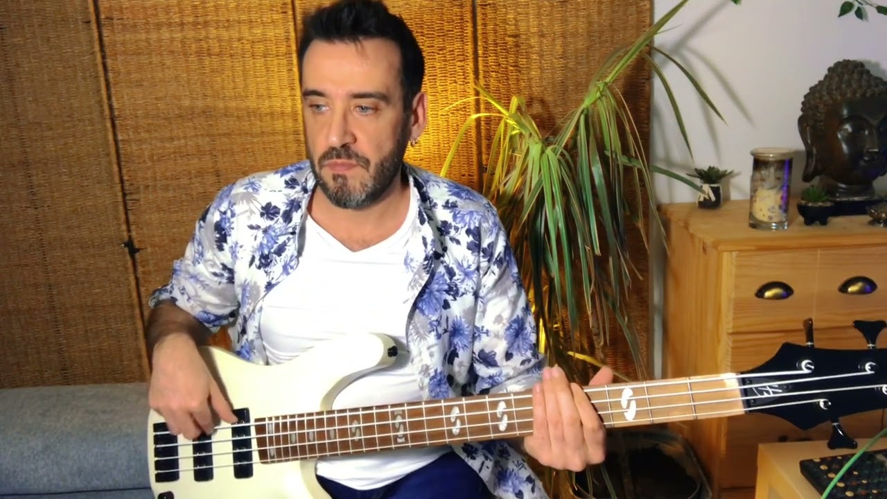 Niagara Pendant que les champs brûlent ( bass cover)