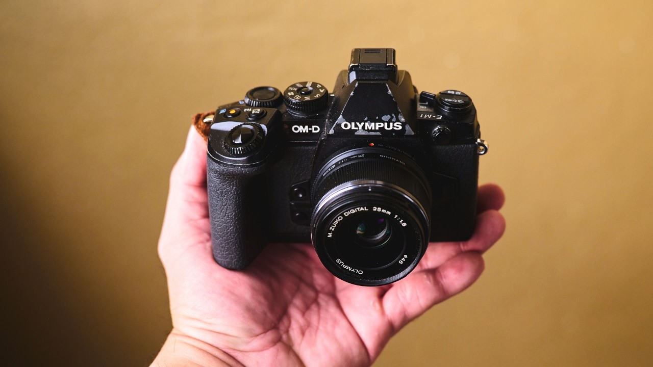 OLYMPUS E-M1 ORIGINAL - Still An Excellent Performer Today
