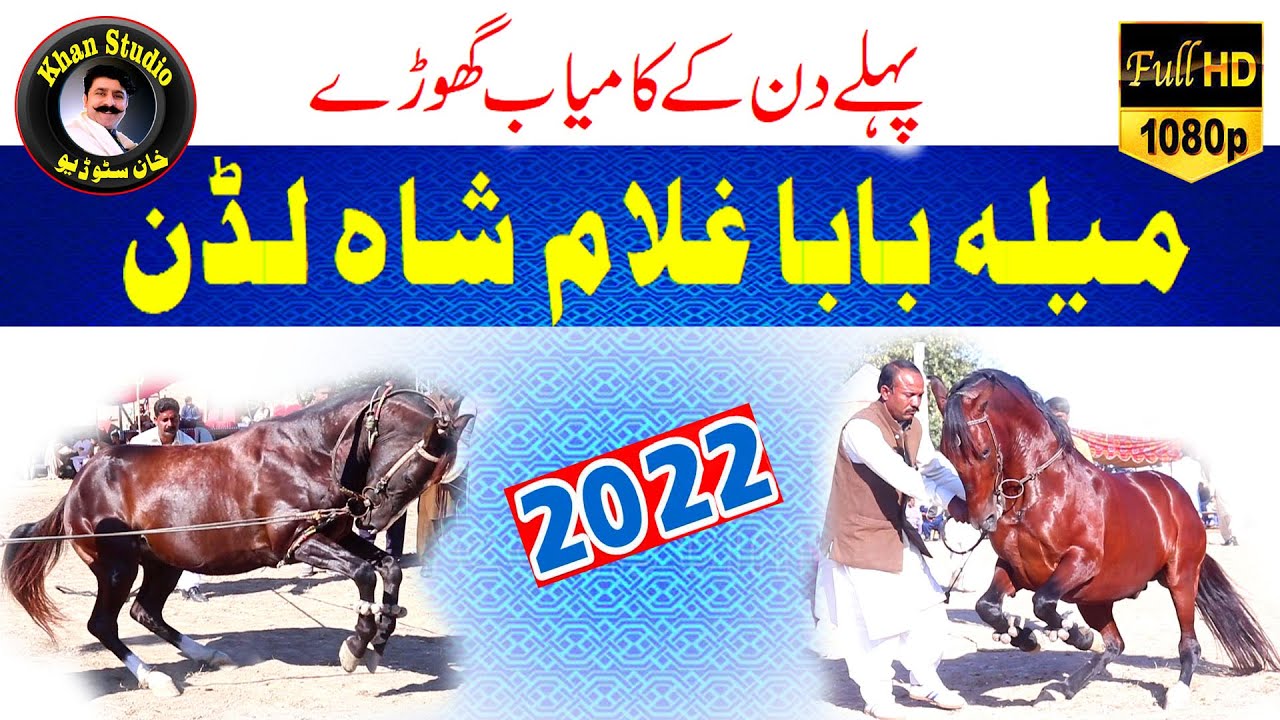 Mela ghulam shah 1 day||best ghora dance 2022||horse dance video by khan studio ||ghora dance  mela