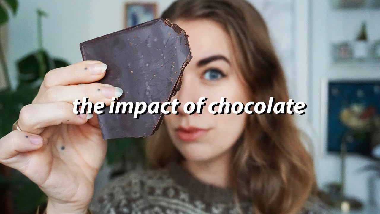 WHAT YOU NEED TO KNOW ABOUT CHOCOLATE // environmental and social impact analysis