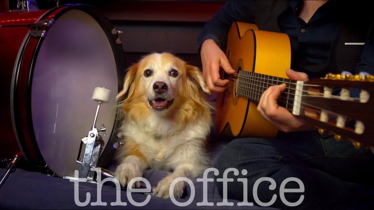 The Office Theme w/ Maple on the Drums