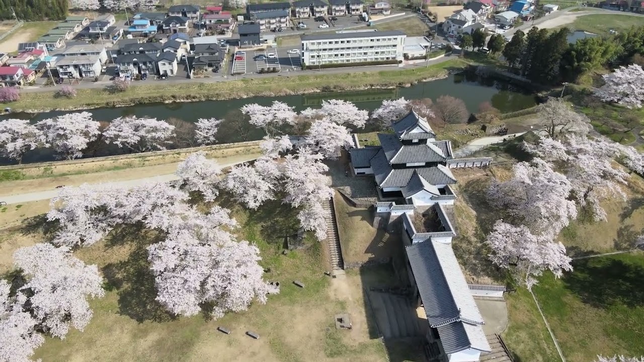 【ドローン映像】小峰城(城山公園) 春 008