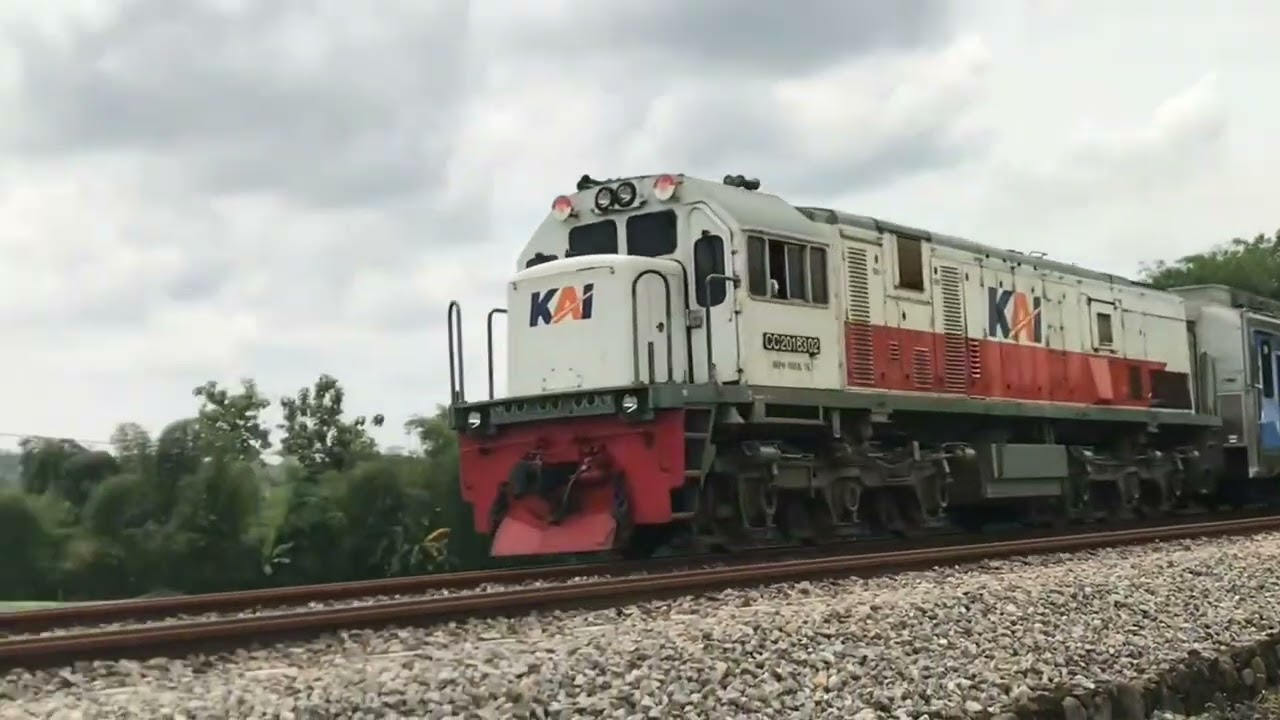 KERETA API PANJANG ‼️ MENEMUKAN 20 KERETA API NGEBUT DI TIKUNGAN