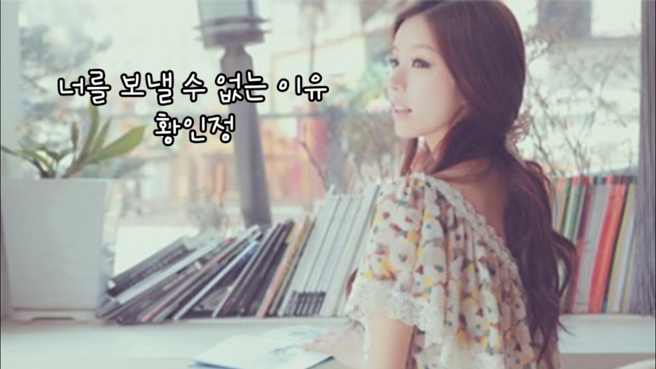 황인정 -   너를 보낼 수 없는 이유   (1995年)