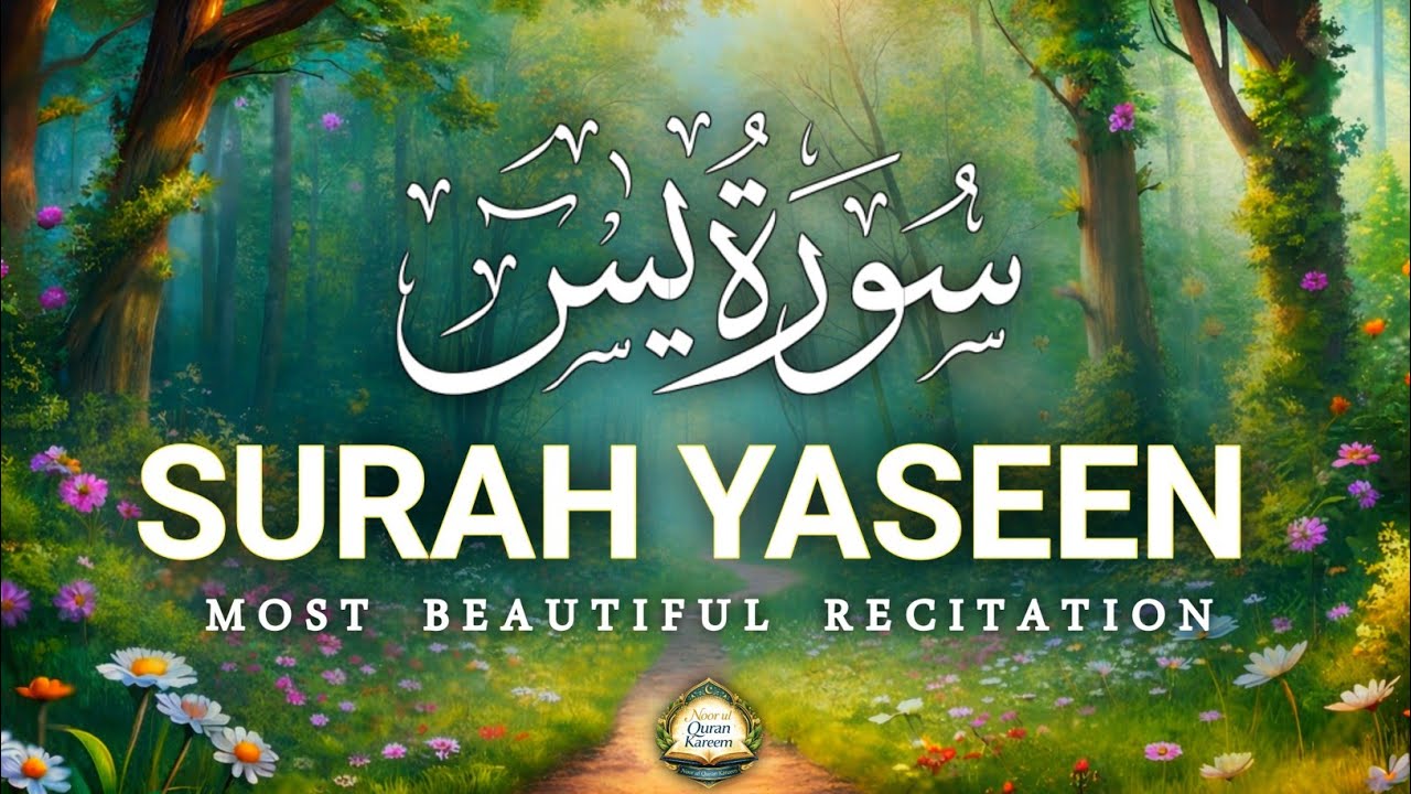 Surah Yaseen (سورة يس) | Lofi Quran for Sleep, Anxiety Relief & Inner Peace | Heartfelt Recitation