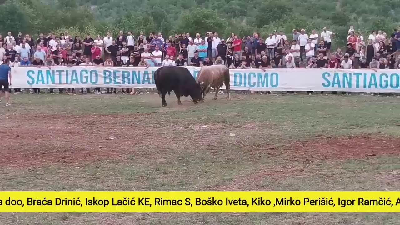 Uživo treći krug kod Zebe Dicmo