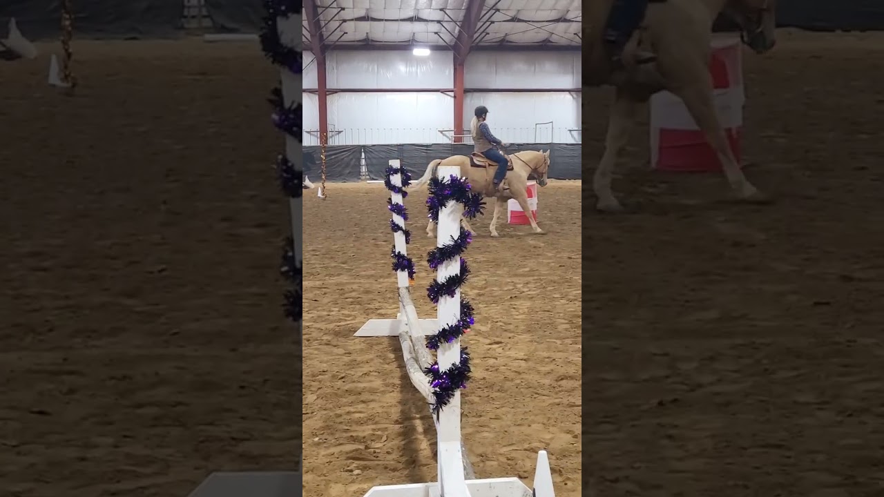 Level 1 Working Equitation EOH