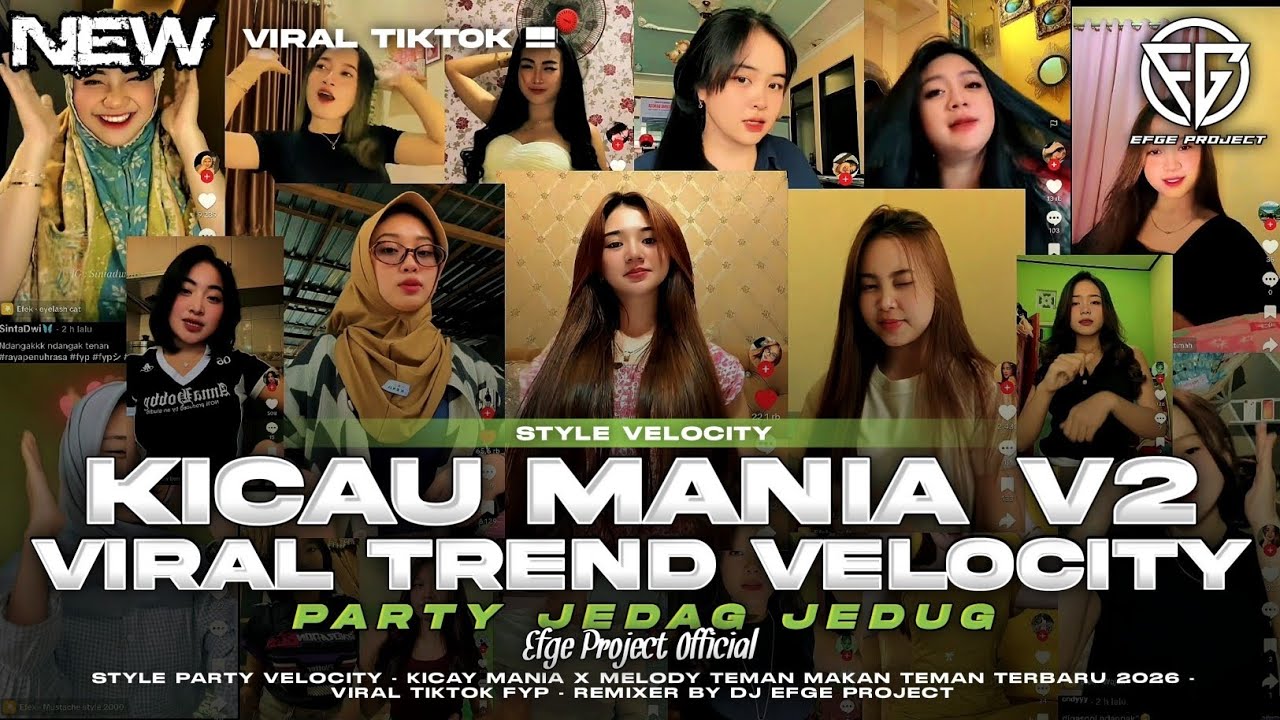 DJ VELOCITY - KICAU MANIA V2 (GAS POL NDANGAK) - PARTY VIRAL TIKTOK TERBARU 2026 - Dj Efge Project