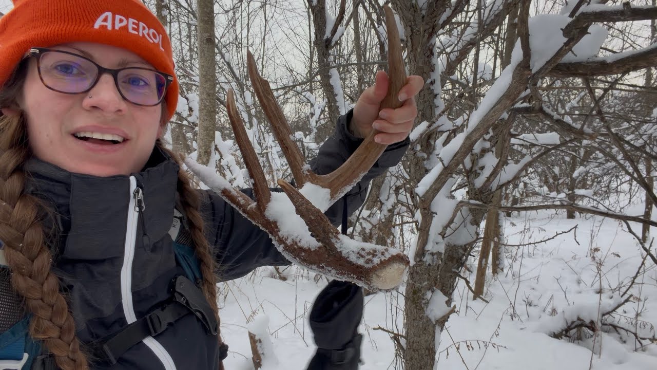 Finding Deer Sheds