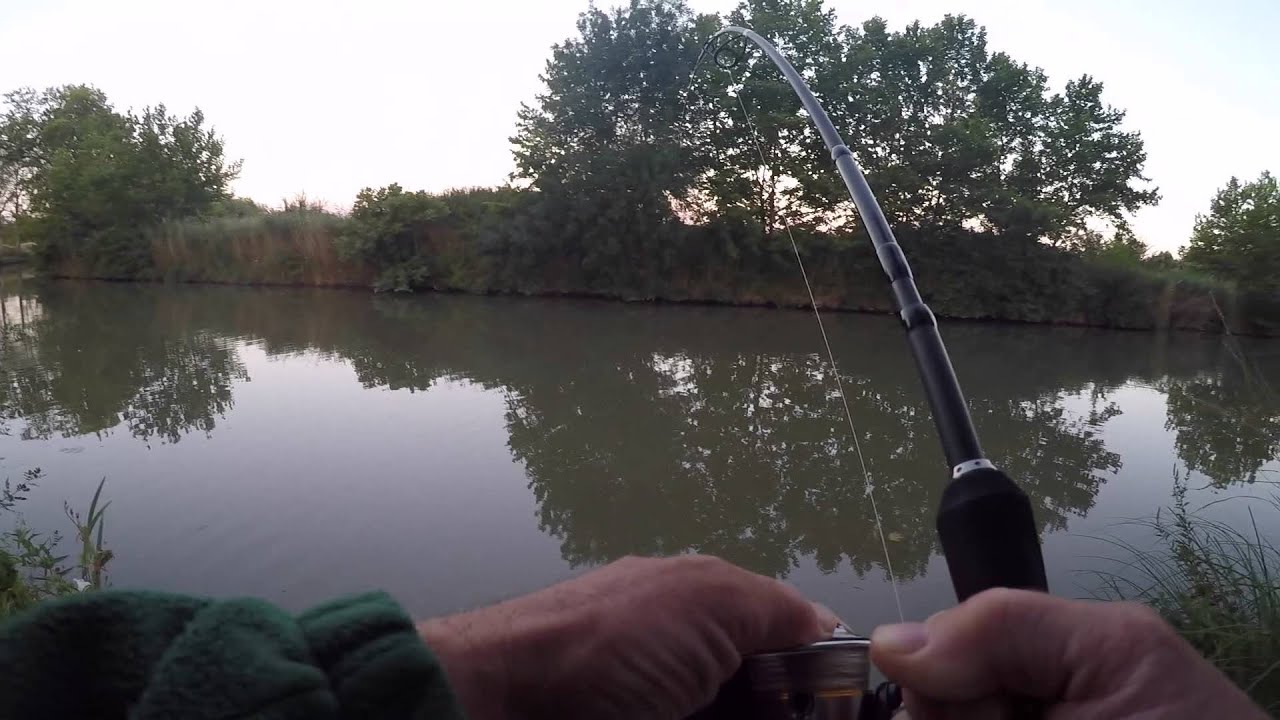 canal du midi perche sandre silure et un brochet qui n'était  pas prévu