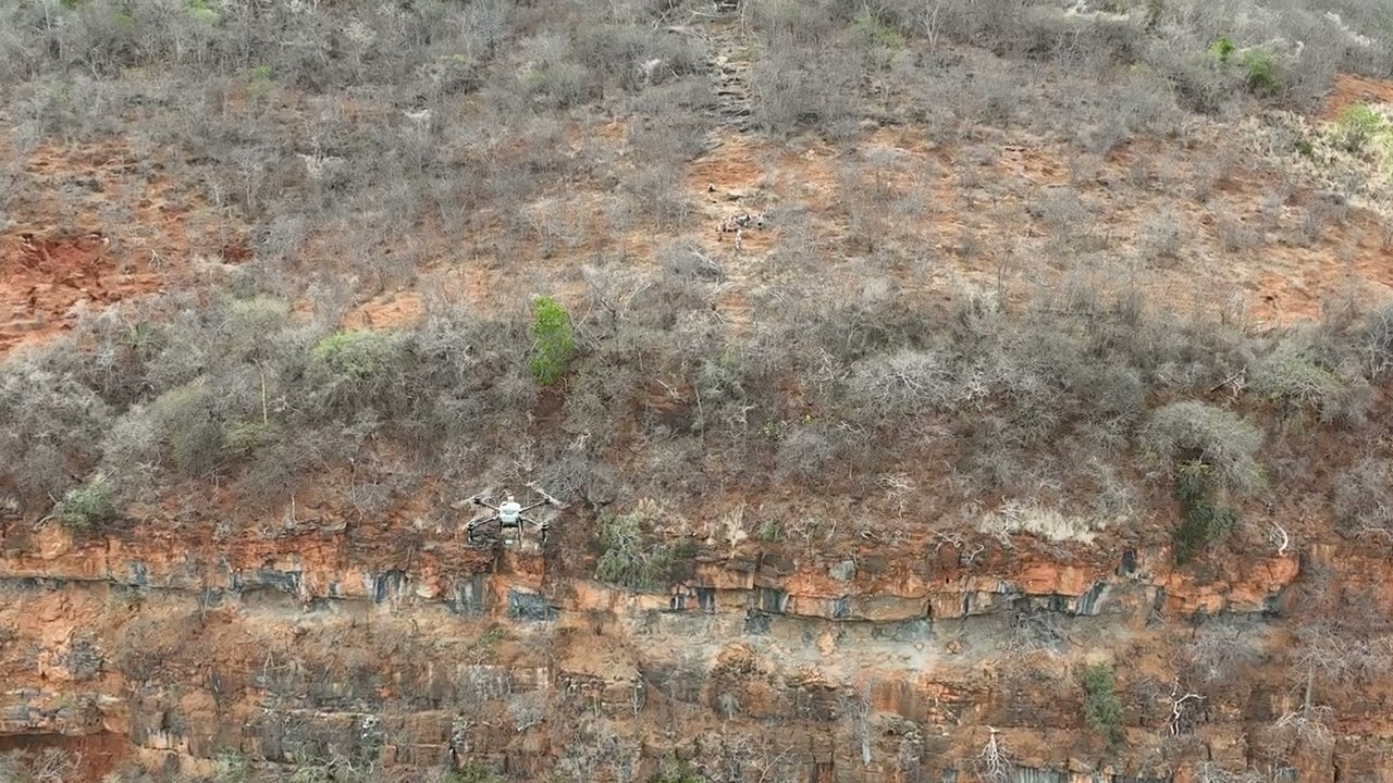 DJI 20251023145903 0002 V