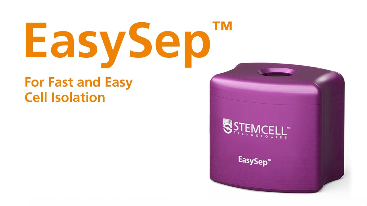 How EasySep&trade; Magnetic Cell Separation Technology Works: Fast and Easy Cell Isolation